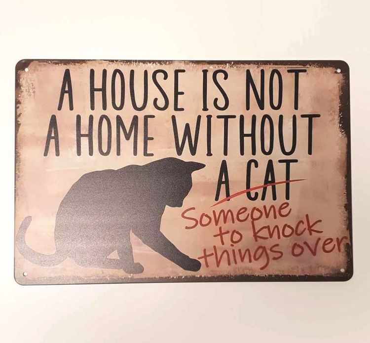 Bilde av Home without a cat