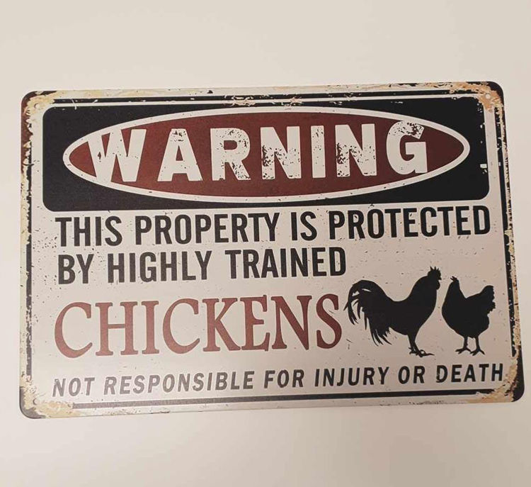 Bilde av Highly trained chickens